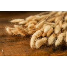 Load image into Gallery viewer, Bouquet Of Tall Bunny Tails
