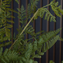 Load image into Gallery viewer, Large Tall Black Potted Fern
