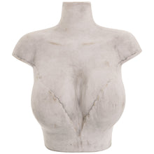 Load image into Gallery viewer, Lady Bust Vase
