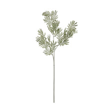 Load image into Gallery viewer, Silver Wattle Leaf
