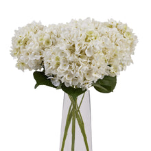 Load image into Gallery viewer, White Hydrangea Bunch
