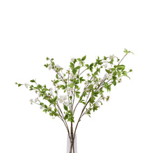 Load image into Gallery viewer, Tall Mock Orange Spray
