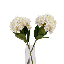 Load image into Gallery viewer, White Hydrangea Stem
