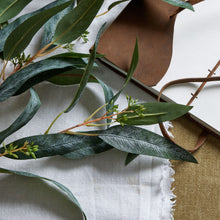 Load image into Gallery viewer, Blue Gum Eucalyptus Branch
