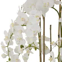 Load image into Gallery viewer, Large White Orchid In Antique Stone Pot
