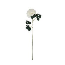 Load image into Gallery viewer, White Chrysanthemum Stem
