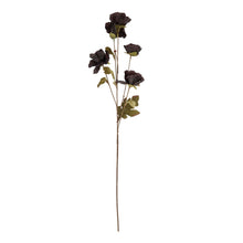 Load image into Gallery viewer, Tall Black Poppy Stem
