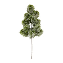 Load image into Gallery viewer, Frosted Pine Single Stem
