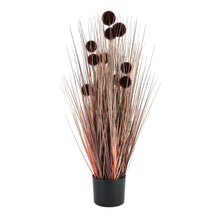 Load image into Gallery viewer, Large Burgundy Pompom Alliums In Black Pot
