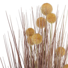 Load image into Gallery viewer, Large Coffee Pompom Alliums In Black Pot
